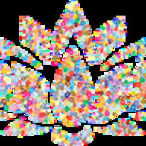 Meet your Posher, Laurie